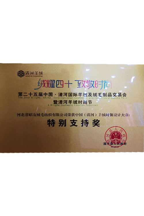 Special Support Award