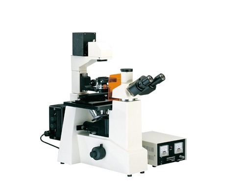 荧光显微镜XTZ-Y3