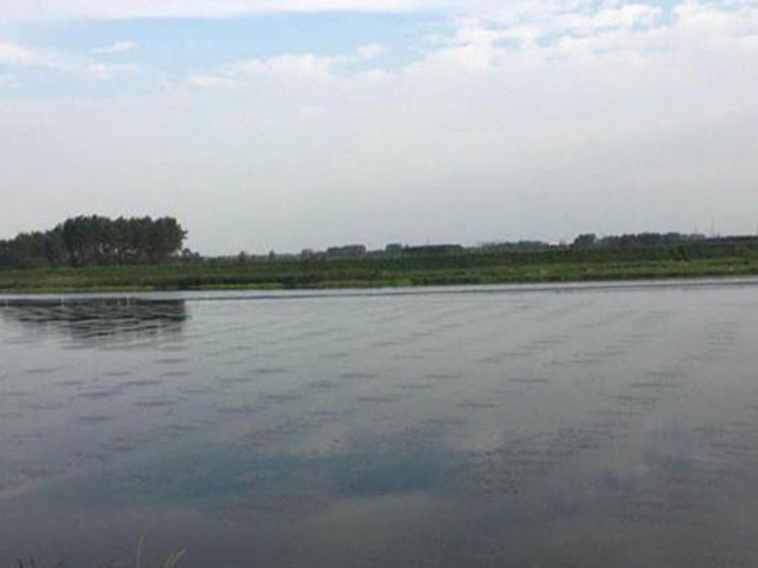 滁州市龙蟠河污水处理厂尾水水质提升工程（污水厂异位提标）