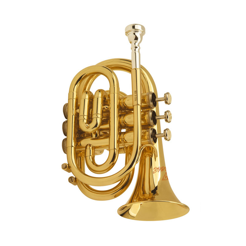 LKTR-5011  Pocket Trumpet china